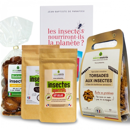 manger des insectes