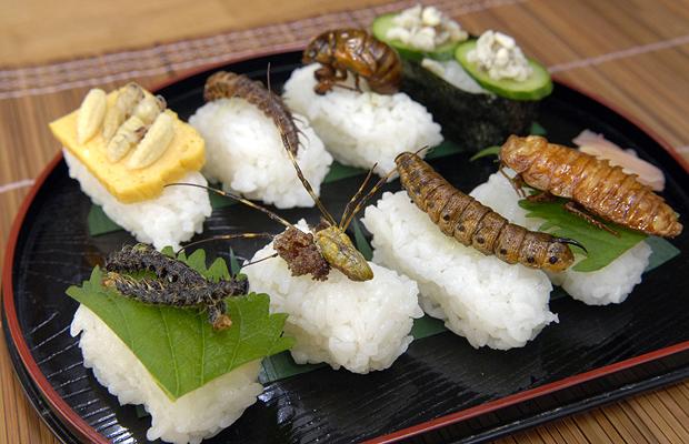 sushi mangers des insectes