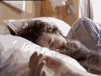 sommeil dormir gif chat 