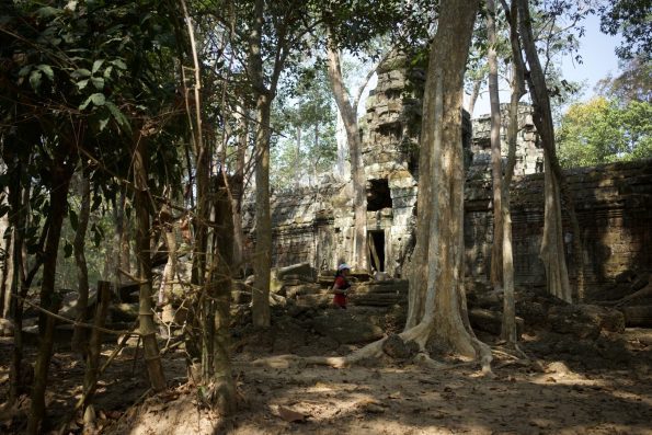 ultra trail angkor parcours